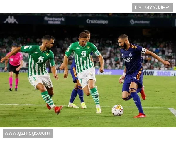 热那亚与巴勒莫在线对决精彩回顾与赛前分析全方位解读 热那亚与巴勒莫在线对决精彩回顾与赛前分析全方位解读