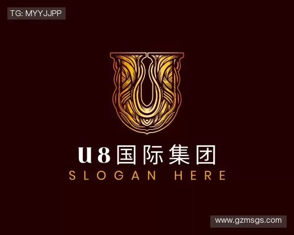 介绍U8国际集团