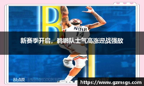 必一运动b-sports官网